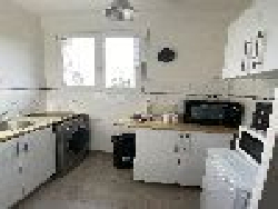 photo8