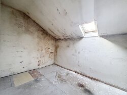 photo2