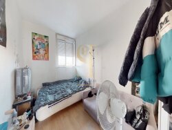photo6