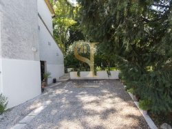 photo8