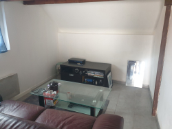 photo8