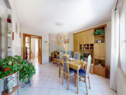 photo8