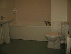 photo8