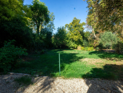 photo3