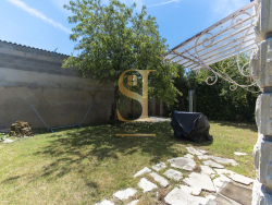 photo6