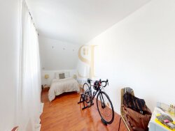 photo8