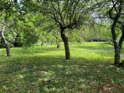 photo2