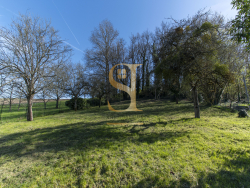 photo7
