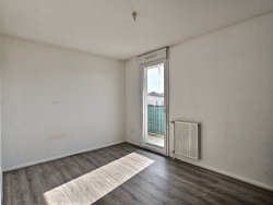 photo8