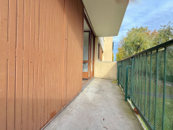 photo11