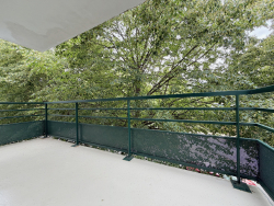 photo4