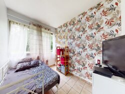 photo7