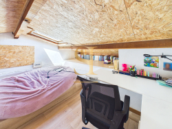 photo8