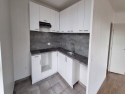 photo5