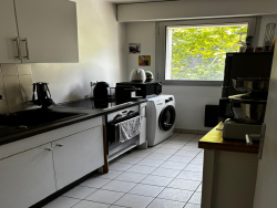 photo11