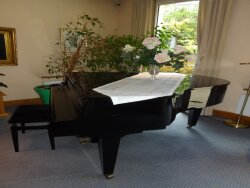 photo5