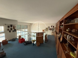 photo10
