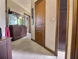 photo7