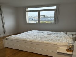 photo7
