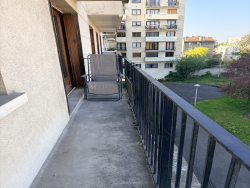 photo8