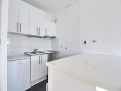 photo8