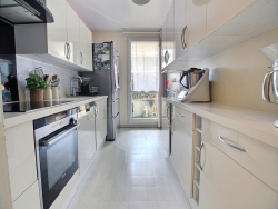 photo8