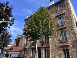 photo8