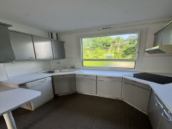 photo3