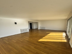 photo7