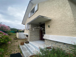 photo11