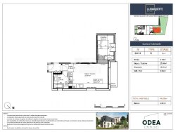 photo2