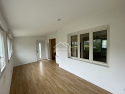 photo7