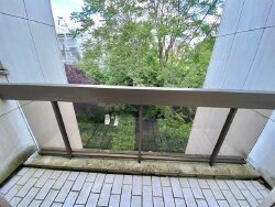 photo6