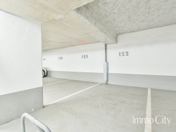 photo7
