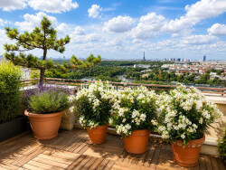 terrasse-vue-panoramique