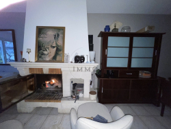 photo1