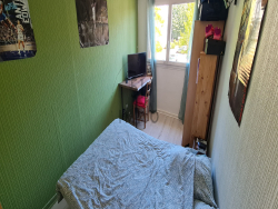 photo4
