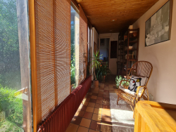 photo8