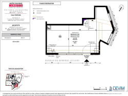 plan-masse