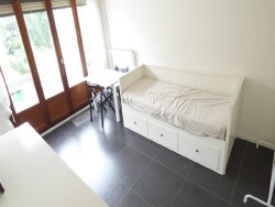 photo4
