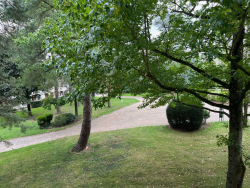 photo8