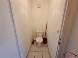 photo7