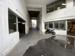 photo8
