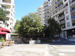 photo8