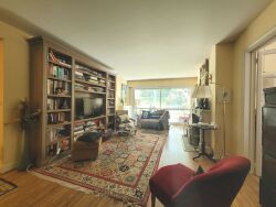 photo8
