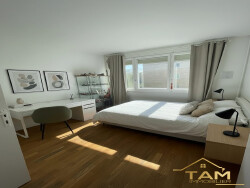 bureau---chambre-d-ami-