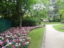 photo3