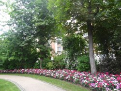 photo4
