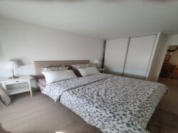 photo11