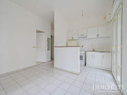photo11